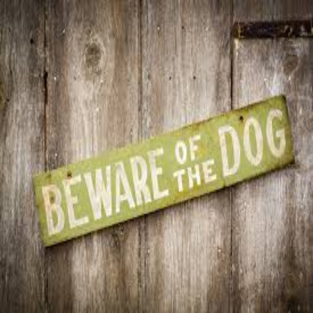 Michigan Dog Attack Laws